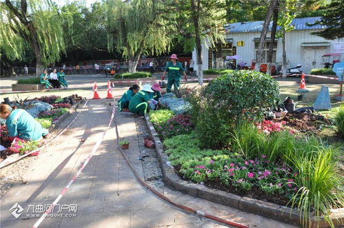 以賽促練強(qiáng)技能 匠心鑄就城市美——資陽(yáng)市園林綠化管理處成功舉辦第十四屆“十萬(wàn)職工大練兵、大比賽、技藝大比武”活動(dòng)